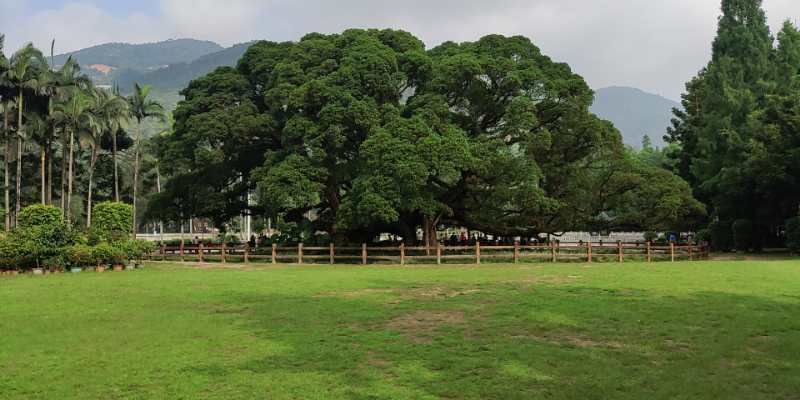 福州華光天銳全體員工于福州國家森林公園開展團(tuán)建活動